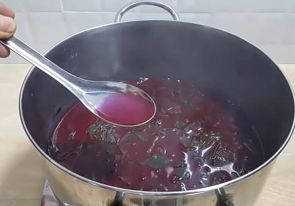 Lá cẩm luộc kỹ lấy nước ngâm gạo nếp tạo màu tím