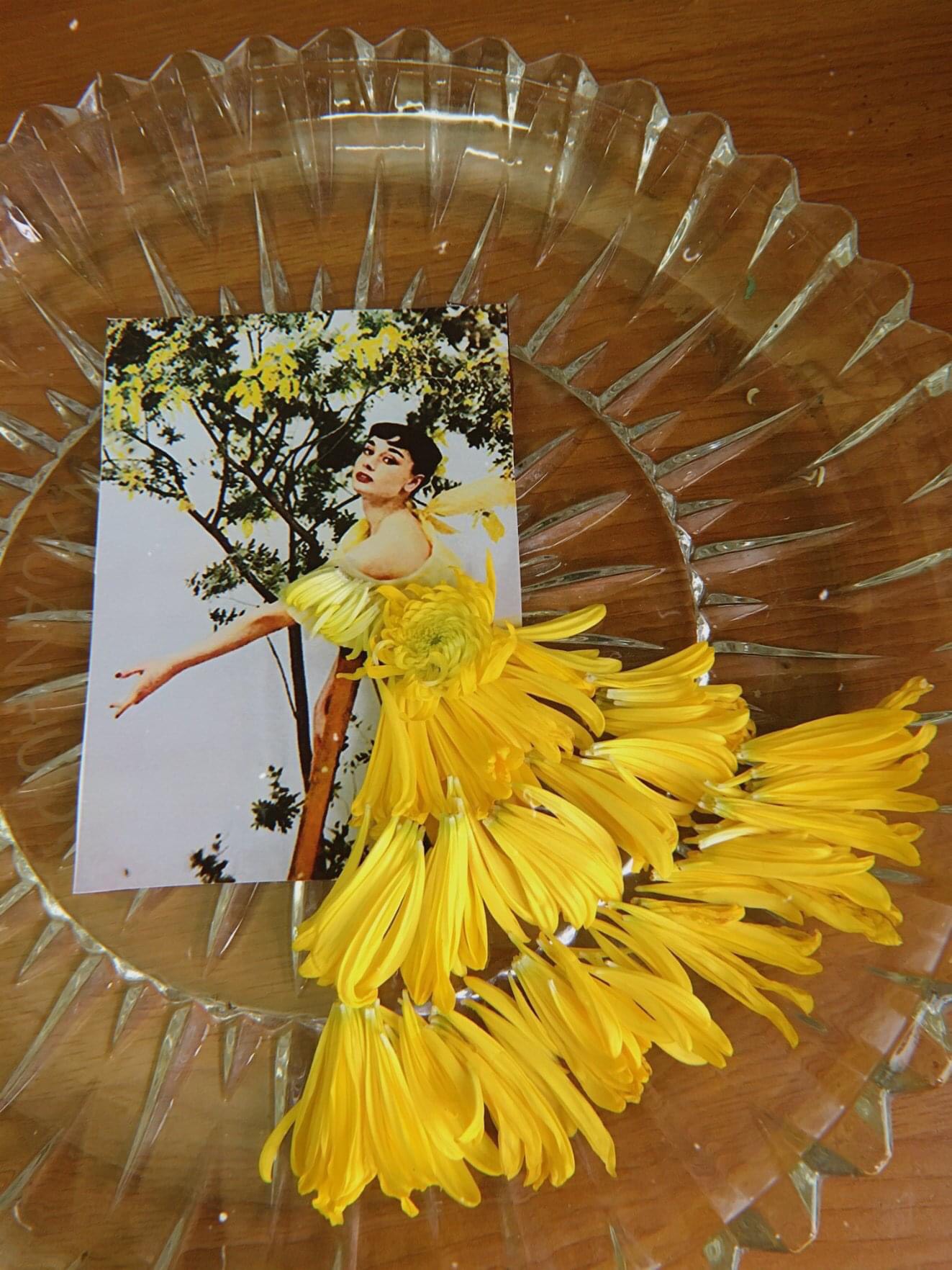 Thiết kế váy cho nàng thơ Audrey Hepburn từ hoa cúc. Ảnh: NVCC. 
