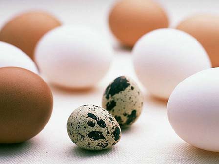10 cách chế biến trứng cút khiến món ăn trở thành vị thuốc bổ