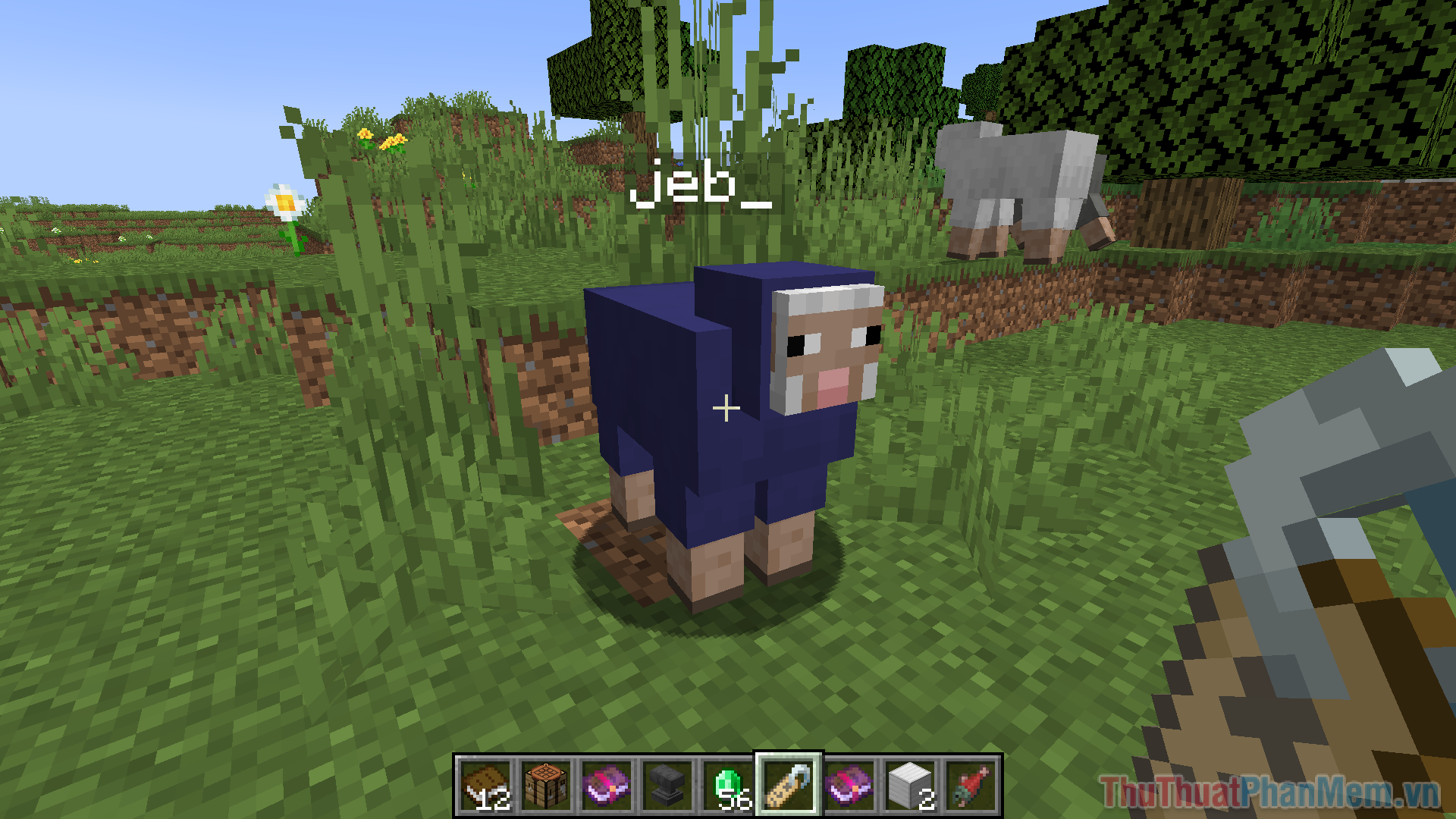 Đặt tên cho một con cừu là “jeb_” sẽ làm cho lông cừu đổi màu liên tục