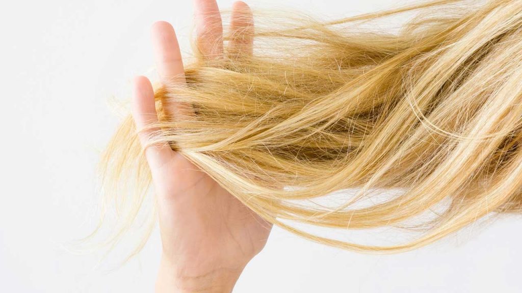Gội đầu mỗi ngày cũng là nguyên nhân khiến tóc mất đi độ ẩm tự nhiên