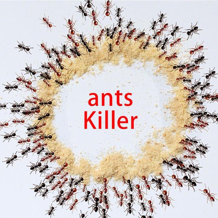 cách làm bẫy diệt kiến