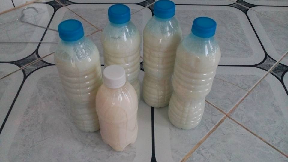 Thành phẩm sữa chua uống ủ bằng chai nước
