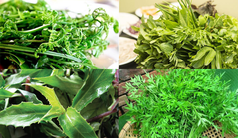 Tổng hợp 15 loại rau rừng ngon và phổ biến nhất ở Việt Nam