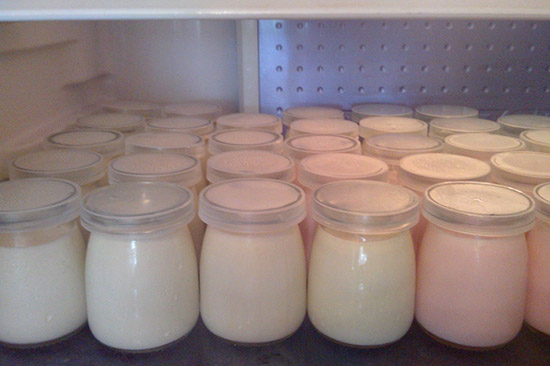 Nên bảo quản sữa chua trong tủ lạnh