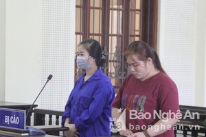 Hai bác cháu “hợp tác” vận chuyển heroin từ Nghệ An ra Hà Nội
